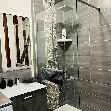 Apartment Le Relais D'eugenie En Hyper Centre-ville *