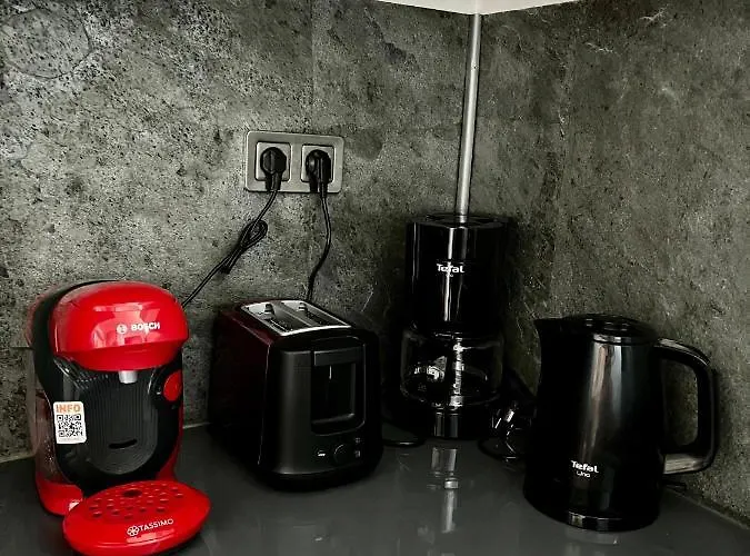 Le Relais D'eugenie En Hyper Centre-ville Apartman