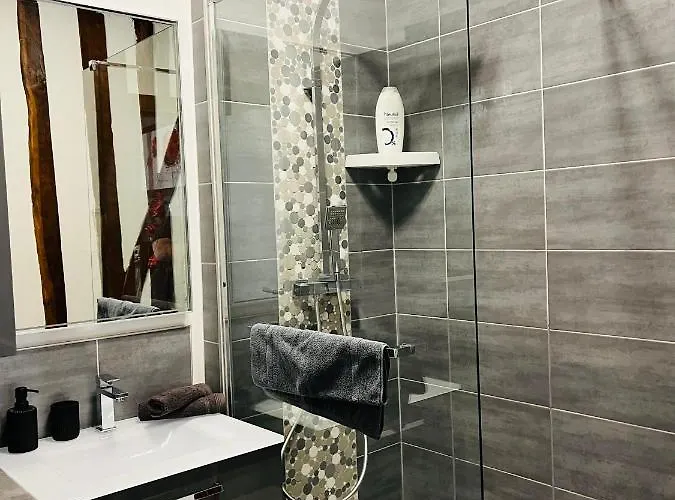 Apartman Le Relais D'eugenie En Hyper Centre-ville *